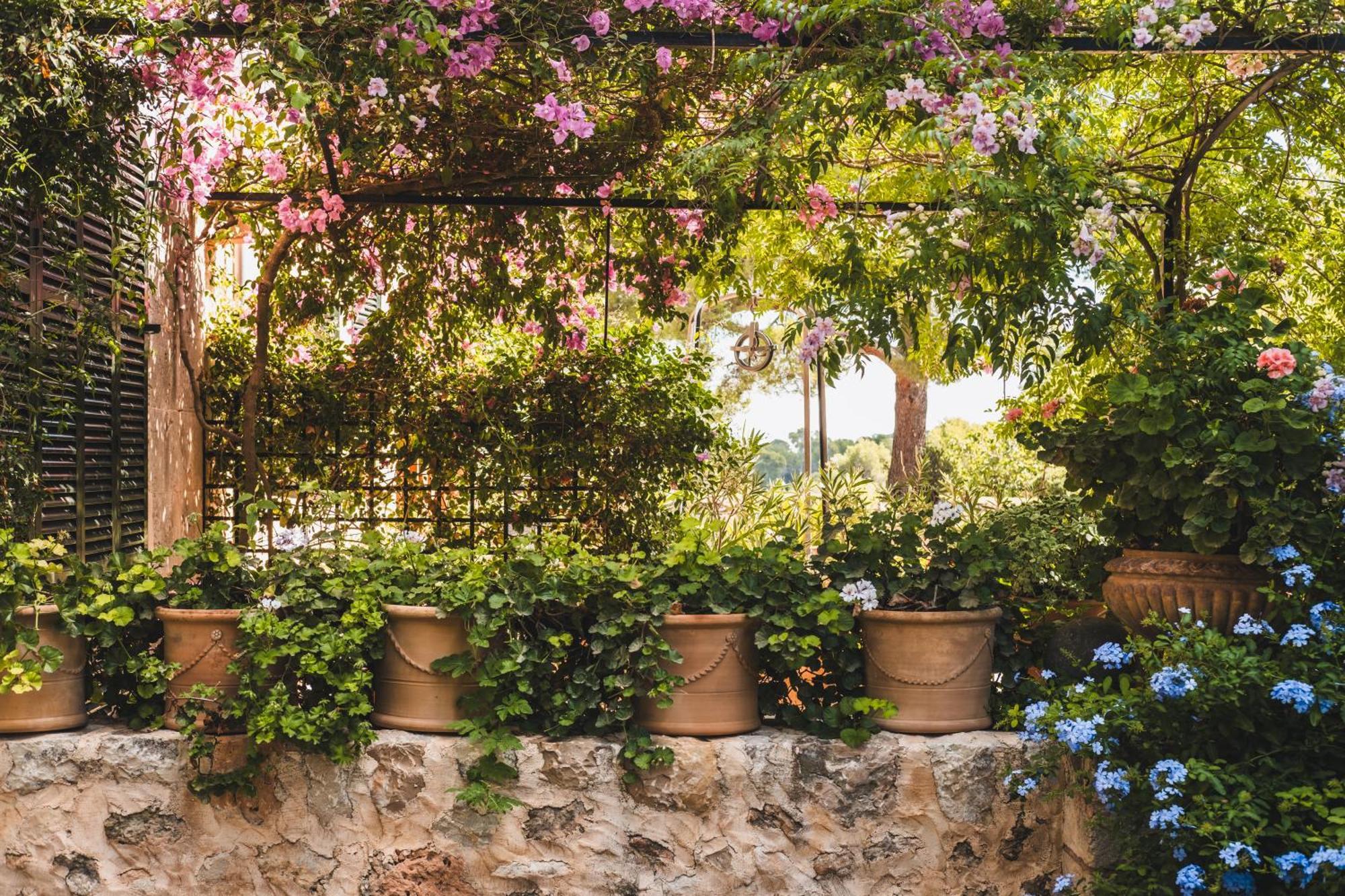 Oliver Moragues Grandhouse & Vineyard