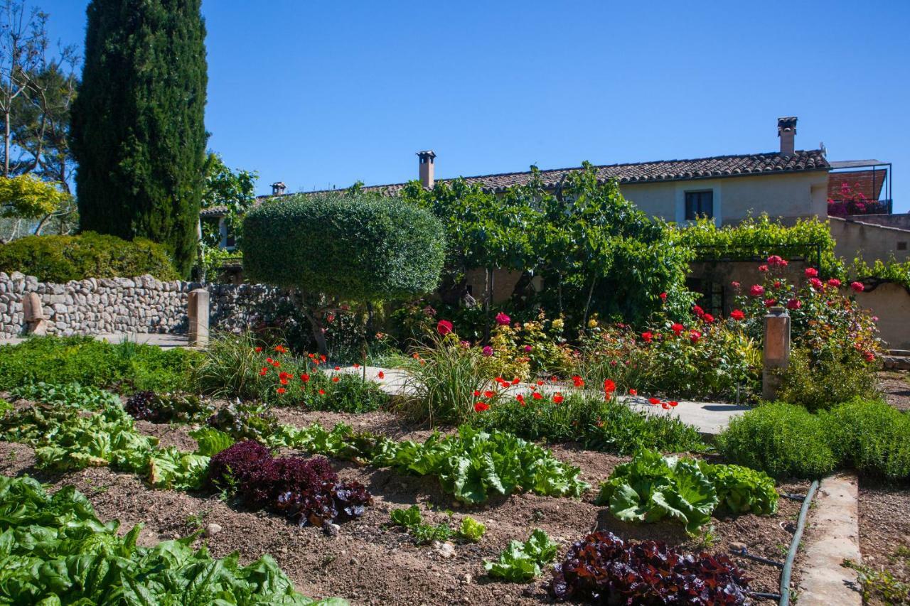 Casa de Campo Oliver Moragues Grandhouse & Vineyard